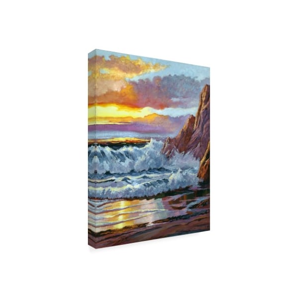 David Lloyd Glover 'Northern California Coast' Canvas Art,18x24